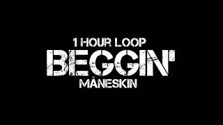 Måneskin - Beggin' (1 Hour Loop)