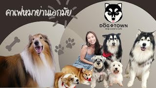 Nadia's Vlog [EP4] คาเฟ่น้องหมา ย่านเอกมัย | Dog in Town Ekkamai