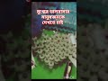 মুগ্ধ তুমি বেঁচে থাকবে মানুষের হৃদয়ে trending trendingshorts trend