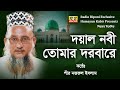 দয়াল নবী তোমার দরবারে । পীর নজরুল ইসলাম doyal nobi tomar dorbare by Nazrul Islam