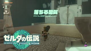 【オロチウムの祠】落ちる勇気 攻略 宝箱【ゼルダの伝説 ティアーズオブザキングダム】