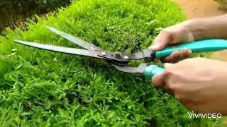 Home garden making. Simple bush cutting എങ്ങനെ എളുപ്പത്തിൽ ബുഷ് വാൾ നിർമിക്കാം..