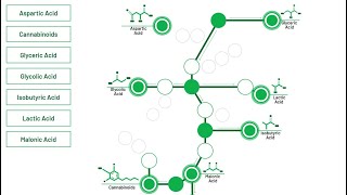 Flexible Solutions International + Lygos Merger