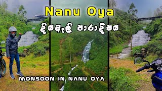 Nanu Oya Sri Lanka | Nanu Oya waterfall | Glassugh falls | නානුඔය දියඇලි පාරාදීසය