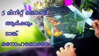 five minute Aquarium Setup Tutorial/ 5 മിനിറ്റ് കൊണ്ട് അക്കോറിയം  എളുപ്പത്തിൽ  മനോഹരമാക്കാം