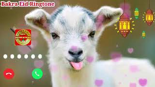 Bakra Eid Ringtone New Islamic Ringtone Bakra Ringtone Naat