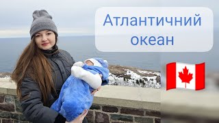 Атлантическая провинция Канады🇨🇦. Ньюфаундленд \u0026 Лабрадор. Сент-Джонс!