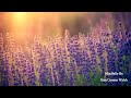 😴 protection from negative energy ~ guided sleep meditation ~ female voice of kim carmen walsh