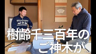 【SDGs】REVIVE MOBLER PROJECT - 台風によって倒れた樹齢670年の神が宿る御神木で笏を制作