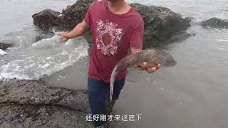 赶海发现水坑不对劲，夫妻俩一上午舀干后，场面一度沸腾了