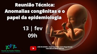 Reunião Técnica: Anomalias congênitas e o papel da epidemiologia