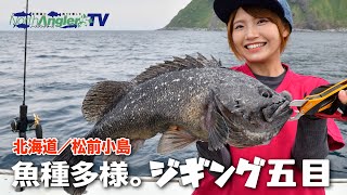 北海道／松前小島でジギング五目！魚種多様で大ゾイも！