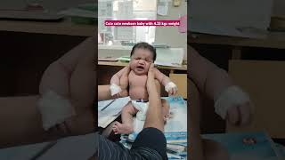 @KIDDOMANIA4 cute cute newborn baby who is 4.25 kilos #cute #shorts #ytshorts #cutebaby #baby