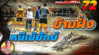 ข้ามฝั่งแบบทาร์ซาน เผชิญหน้ากับจระเข้ยาว 8 เมตร - กระทิงโทน 72