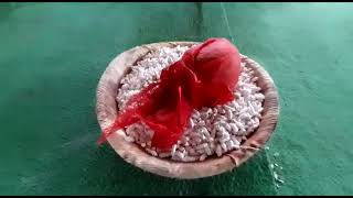 DHANVANTRI WEB TV ஆயுஷ் ஹோமம் / AYUSH HOMAM