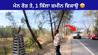 On main road, 1 acre land for sale near hoshiarpur Punjab 🤩Video no: 171