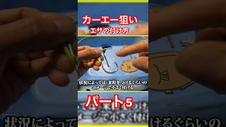 活性が上がったり、食いが良い時のエサの付け方！基本的には即合わせする時にお勧めな方法です！#沖縄　#釣り　#フカセ釣り　#エサの付け方　#カーエー