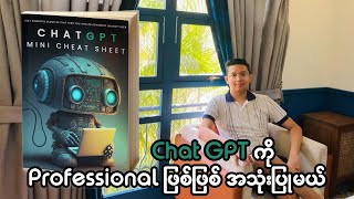 Chat GPT ကို Professional ဖြစ်ဖြစ် အသုံးပြုနည်း