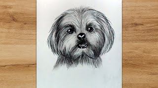 How to Draw a Maltese Dog Step by Step | Pencil Drawing Tutorial