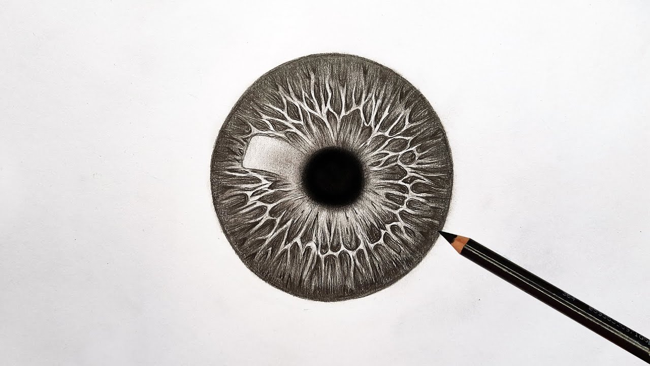 Realistic Iris The Eyes Have It The Iris Pictured In Remarkable