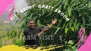 Farm Visit - 3 | Assam Grass | Grass Broom Harvesting Season 2022