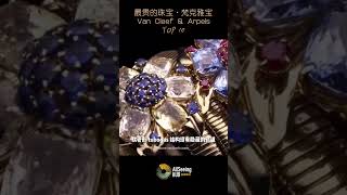 最贵的珠宝 / 梵克雅宝 / Van Cleef \u0026 Arpels / 高级珠宝/工艺/珠宝/Diamond/法国/戒指/项链/手镯/胸针/世家/宝石 - Passe-Partout  / 百变项链