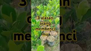 3 alasan orang membencimu