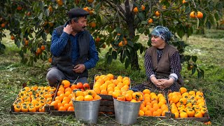 Harvesting Persimmon for Winter | Keep Them Fresh Without Chemicals!