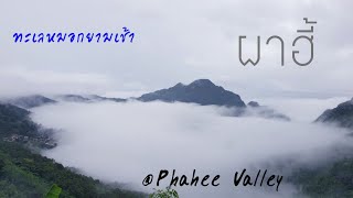 ดอยผาฮี้ จ.เชียงราย @ Phahee Valley