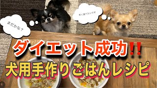 ダイエットに成功！ベスト体重になった方法！愛犬が健康になる手作りご飯の作り方大公開♪【犬用フード】【ダイエットフード】【手作りごはん】