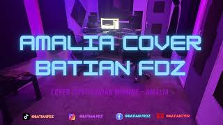 Amalia - Cover Gipsy Adrian Minune