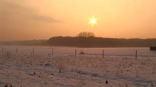 1000001700 hn00421 jn0600 winter schnee sonne 2 schnee,feld,blumen,sonne,winter