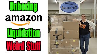 Unboxing Amazon Liquidation! What did we get sometimes it is really weird!