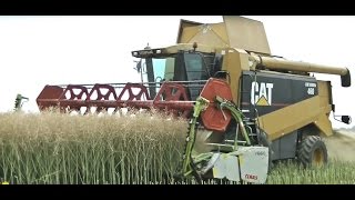 CAT Lexion 46o \u0026 CLAAS Lexion 66o vs Rzepak! HIT!