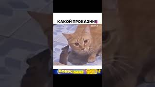 отправь той самой 🤣 #юмор #прикол #приколы #comedy #funny