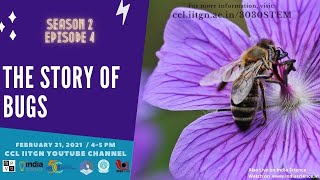 The Story of Bugs । 3030 STEM  । S02 E04