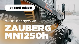 Мини-погрузчик нового поколения I Мини-погрузчик Zauberg MN1250h