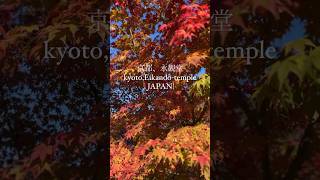 京都紅葉情報2023！只今見頃です！京都に行こう！！　2023年11月22日　京都・永観堂より