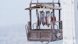 さけとば、空飛びおいしく 北海道・登別のクマ牧場