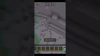 画面酔い注意！編集でゴリ押したらなんでもかっこよくなる説2 #Minecraft #shorts