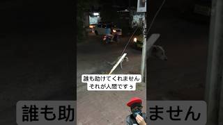 【アフレコ】誰も助けてくれないんです(犬) #shorts