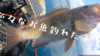 【カヤックフィッシング】錦江湾で珍しいお魚釣れたよ!【魚釣り】