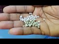 parijatham plant...பாரிஜாதம் பூ வளர்ப்பு... subscribe my channel tamil