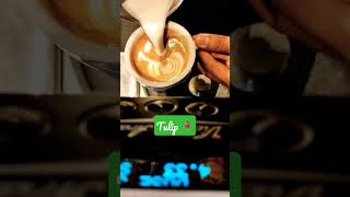 making in cortado Tulip 🌷 art,#coffee #latteart #cortado #cappuccino #shortvideo #lattearttutorial