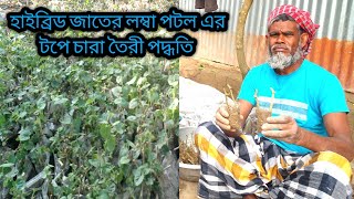 পটল চাষ পদ্ধতি |পটলের লতা কাটিং পদ্ধতি |পটলের টপ তৈরী করন পদ্ধতি 01744690432