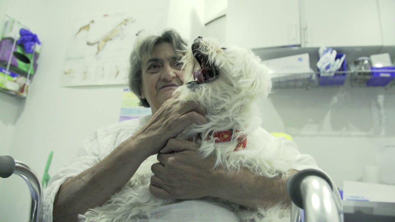 Who We Are Second Chance Animal Rescue Youtube