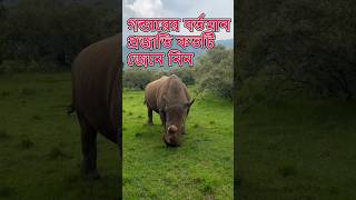 গন্ডারের বর্তমান প্রজাতি কয়টি জেনে নিন||Find out what are the current species of rhinoceros