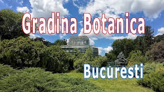 Gradina Botanica Bucuresti vara 2024