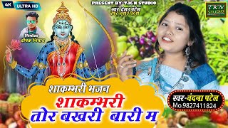 शाकम्भरी तोर बारी बखरी म  | Vandana Patel lNew shakmbhari Video Song |छत्तीसगढ़ी भजन |TKN STUDIO 2025