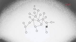 Thread: How does it network?